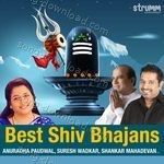 Best Shiv Bhajans - Sanjeev Abhyankar Song Download